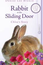 Rabbit at the Sliding Door
