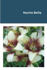 Noche Bella af Martín Ortega