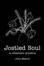 Jostled Soul af John Mabold