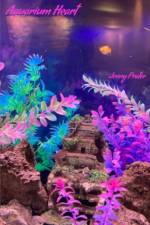 Aquarium Heart af Jenny Prater