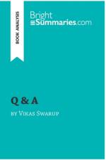 Q & A by Vikas Swarup (Book Analysis) af Bright Summaries