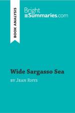 Wide Sargasso Sea by Jean Rhys (Book Analysis) af Bright Summaries