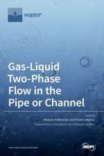 Gas-Liquid Two-Phase Flow in the Pipe or Channel af MAKSIM PAKHOMOV