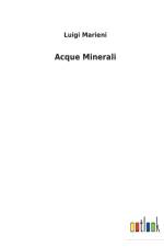 Acque Minerali af Luigi Marieni