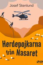 Herdepojkarna från Nasaret af Josef Stenlund