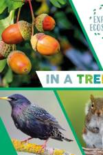 Explore Ecosystems: In a Tree af Sarah Ridley