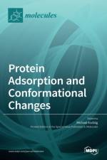 Protein Adsorption and Conformational Changes