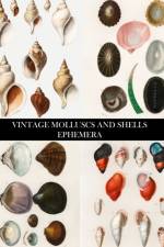 Vintage Molluscs and Shell Ephemera af Press Vintage Revisited Press