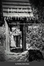 HE MET US AT THE WELL: A COLLECTION OF T af Shelley Ashe-Haun