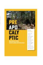 PREAPOCALYPTIC: A POSTCARD ANTHOLOGY OF af Hanno Frank