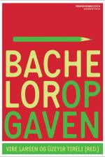 Bacheloropgaven af Vibe Larsen