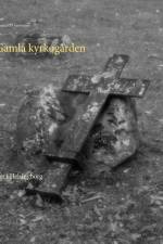 Gamla kyrkogården : på Söder i Helsingborg af Lennart O. Svensson