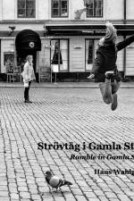 Strövtåg i Gamla Stan / Ramble in Gamla Stan af Hans Wahlgren