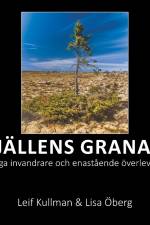 Fjällens granar : tidiga invandrare och enastående överlevare af Leif Kullman