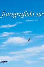 Ett fotografiskt urval : Del 1 af Anders Åkerstedt