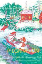 Pilgrims ön : Hilda och Hulda gås, hälsar på mor Olga af Jane Ekström Fridman