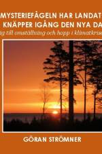 Mysteriefågeln har landat och knäpper igång den nya dagen : en väg till omställning och hopp i klimatkrisens tid af Göran Strömner