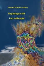 Regnbågen föll i en vattenpöl af Samara Braga Lundberg