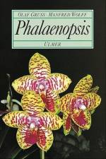 Phalaenopsis af Olaf Gruß
