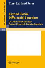 Beyond Partial Differential Equations af Horst Reinhard Beyer
