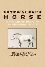 Przewalski's Horse af Lee Boyd