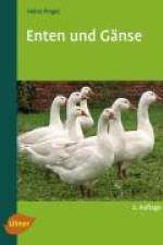 Enten und Gänse af Heinz Pingel