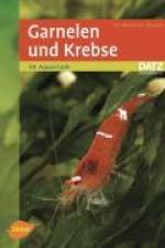 Garnelen und Krebse im Aquarium af Kai Alexander Quante