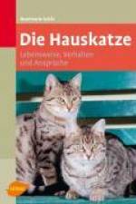 Die Hauskatze af Rosemarie Schär