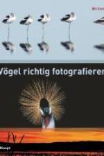 Vögel richtig fotografieren af Bill Coster