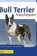 Bull Terrier af Bethany Gibson
