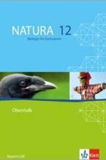 Natura - Biologie für Gymnasien Ausgabe für Bayern. G8. Schülerband 12. Schuljahr