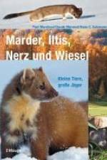 Marder, Iltis, Nerz und Wiesel af Paul Marchesi