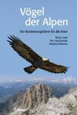 Vögel der Alpen af Bruno Caula