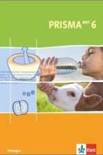 Prisma Mensch - Natur - Technik für Thüringen. Schülerbuch 6. Schuljahr