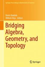 Bridging Algebra, Geometry, and Topology af Denis Ibadula