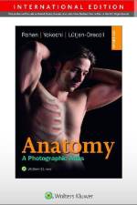 Color Atlas of Anatomy - international edition af Johannes W. Rohen