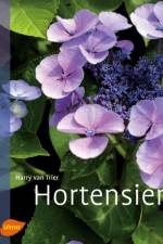 Hortensien af Harry van Trier