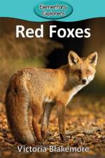 Red Foxes af Victoria Blakemore