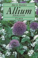 Allium, Zierlauch af Dilys Davies