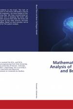 Mathematical Model and Analysis of the Blood Flow and Brain Cell Region af Mahmoud Hussein