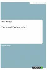 Flucht und Fluchtursachen af Ilona Hündgen