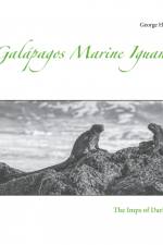 Galápagos Marine Iguanas af George Hillman