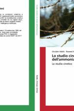 Lo studio cinetico della sintesi dell'ammoniaca af Ghulam Habib