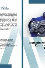 Numerische Simulation von Korrosionsprozessen in heißen Metallen af Wilfred Mukora