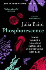 Phosphorescence af Julia Baird