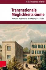 Transnationale Möglichkeitsräume af Michael Czolkoß-Hettwer