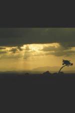 The Land Where the Quetzal Flies af Sandra Chigüela