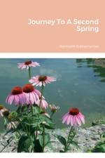 Journey To A Second Spring af Ramnath Subramanian