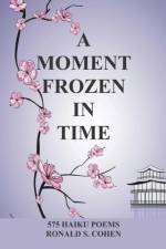 A Moment Frozen in Time af Ronald S Cohen