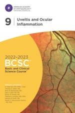 2022-2023 Basic and Clinical Science Course™, Section 09: Uveitis and Ocular Inflammation af H. Nida Sen